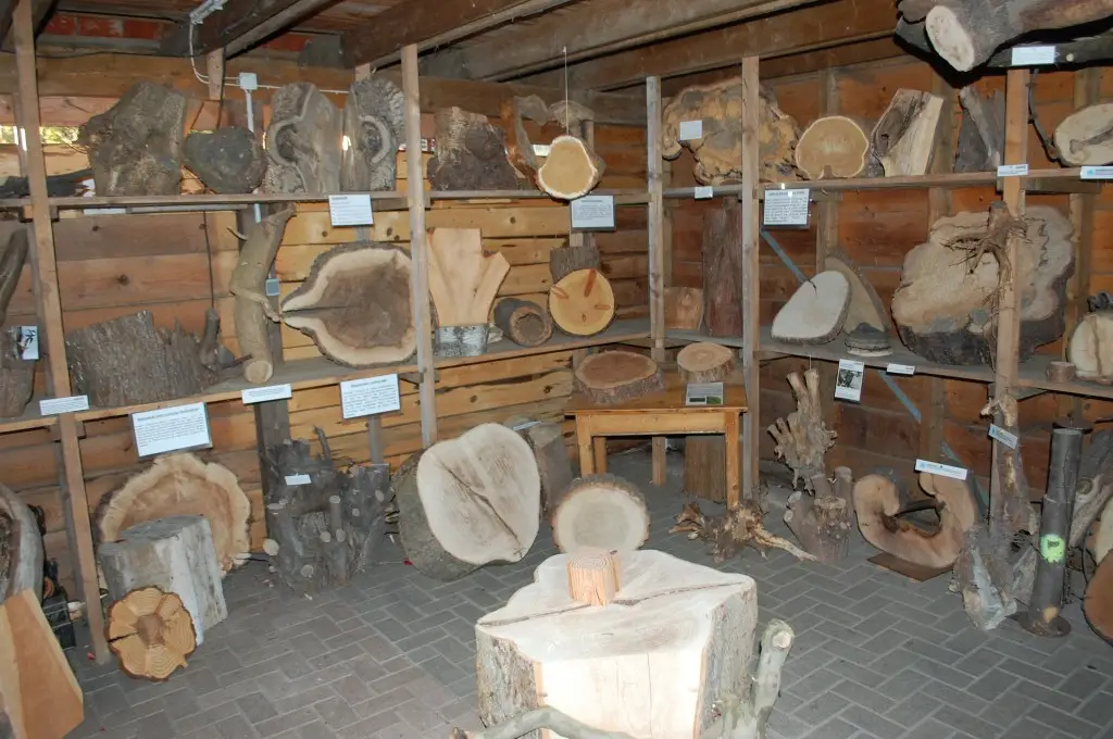 Foto: Das frühere Zuhause des Baumzentrum Innenansicht des ehemaligen Baum-Museum mit vielen Ausstellungsstücken von Baumbegutachtungen,
auf dem früheren Gelände des Baumzentrum